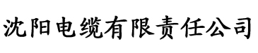 91香蕉视频年度最污电缆厂logo